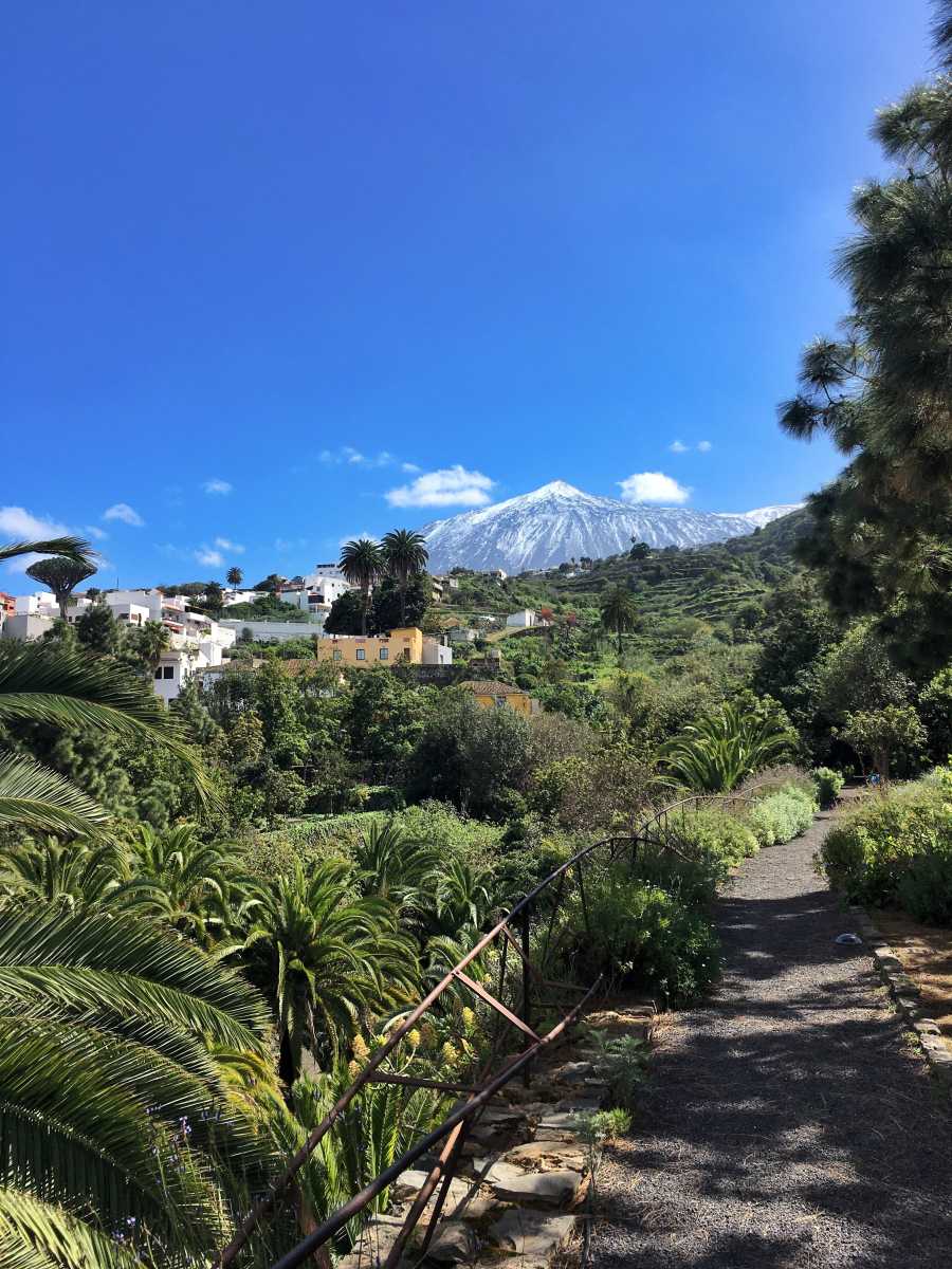 You are currently viewing Embracing the Enchanting Nature of Tenerife